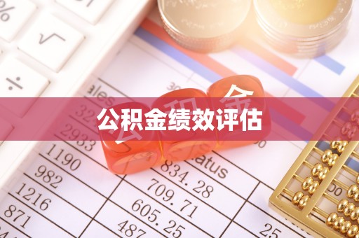 雅江公积金绩效评估