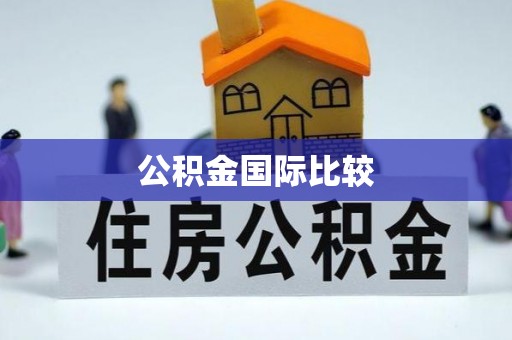 雅江公积金国际比较