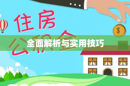 雅江全面解析与实用技巧