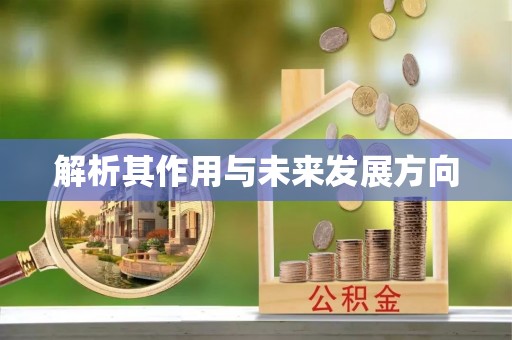雅江解析其作用与未来发展方向