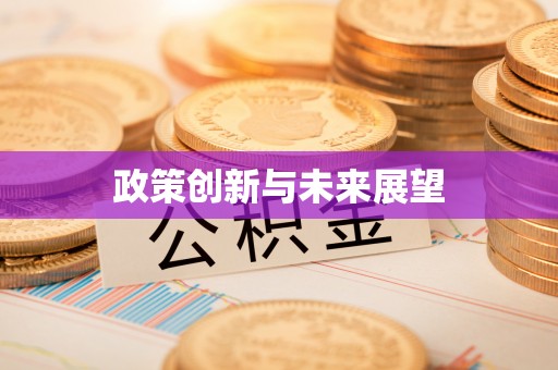 雅江政策创新与未来展望