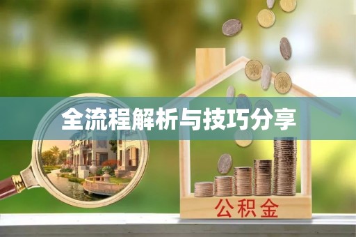 雅江全流程解析与技巧分享