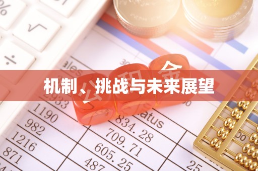 雅江机制、挑战与未来展望