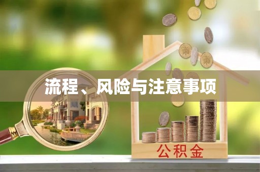 雅江流程、风险与注意事项